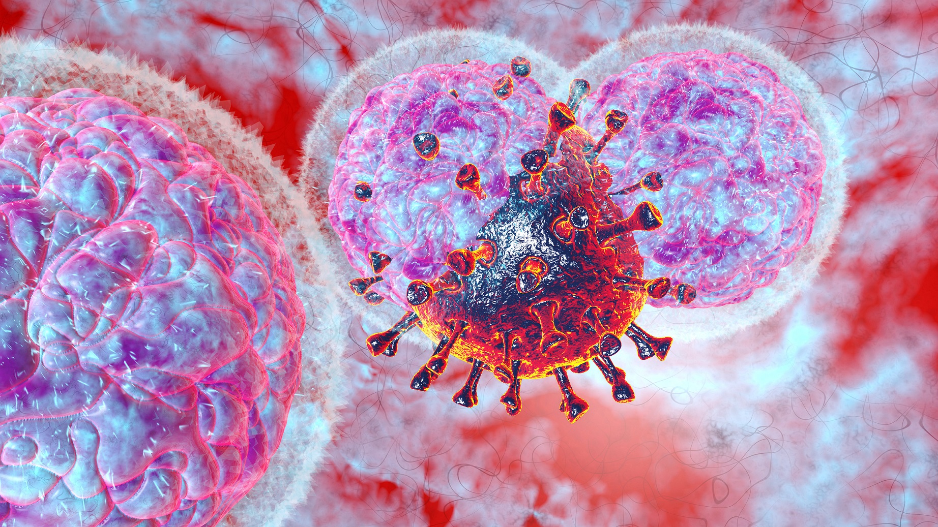 Immunantwort Auf Corona Mutationen T Zellen Erkennen Neue Varianten