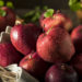 Äpfel enthalten vergleichsweise viel Fruchtzucker. Daher werden sie bei einer Fruktose-Unverträglichkeit oft eher schlecht vertragen. (Bild: Brent Hofacker/fotolia.com)