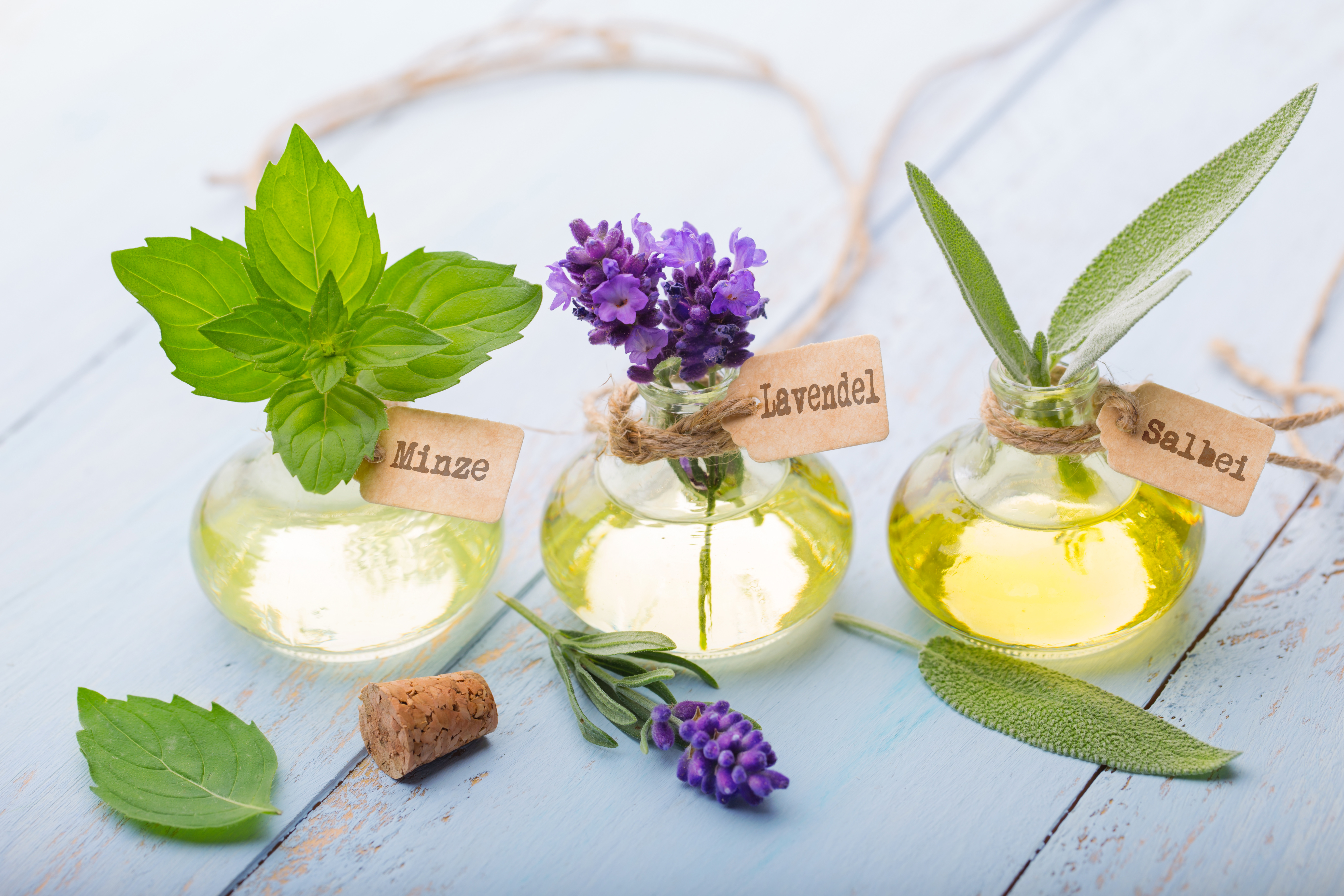 Aromatherapie mit Wäscheklammern - Ätherische Öle zur Heilung der