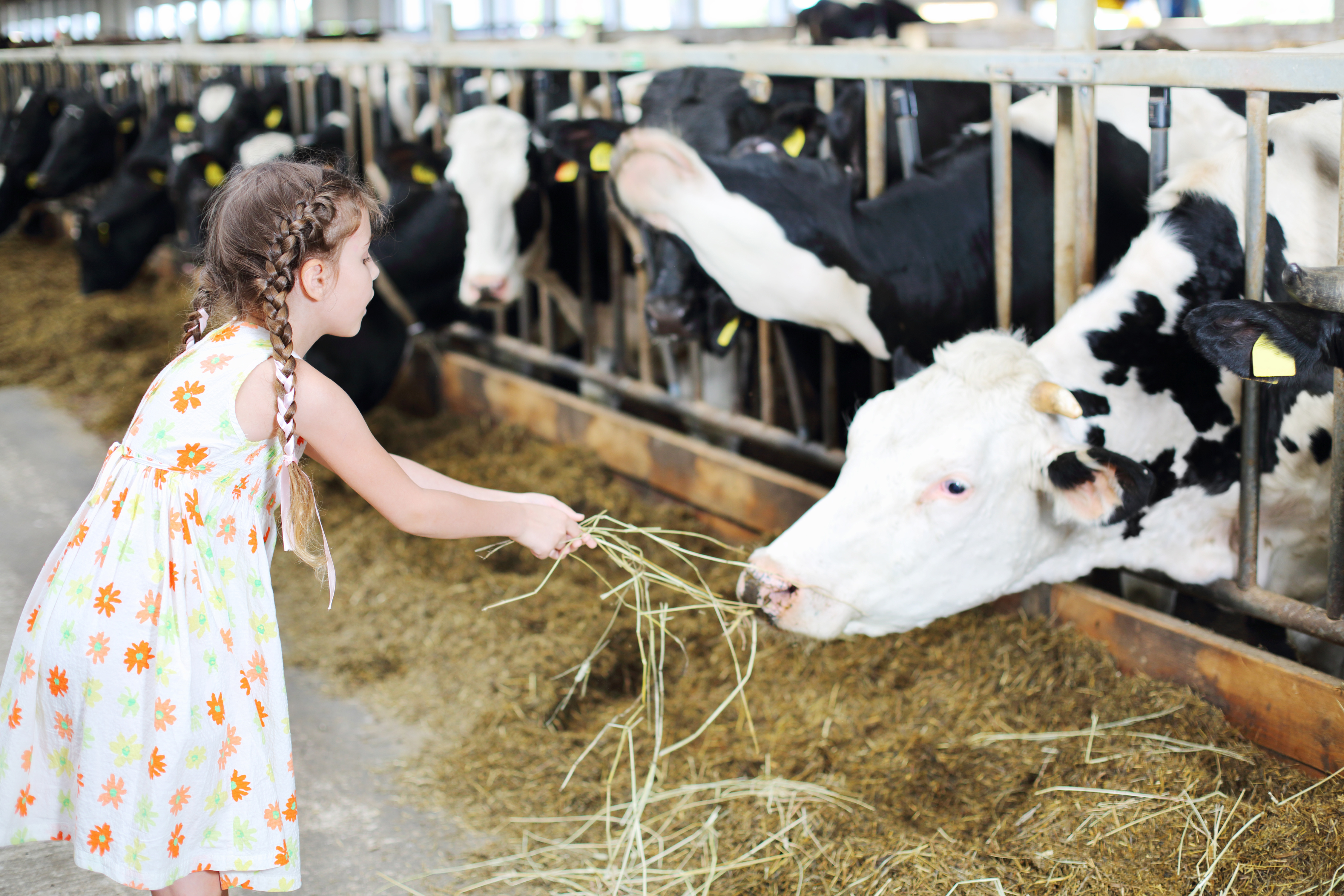 Reddit Farm Girls