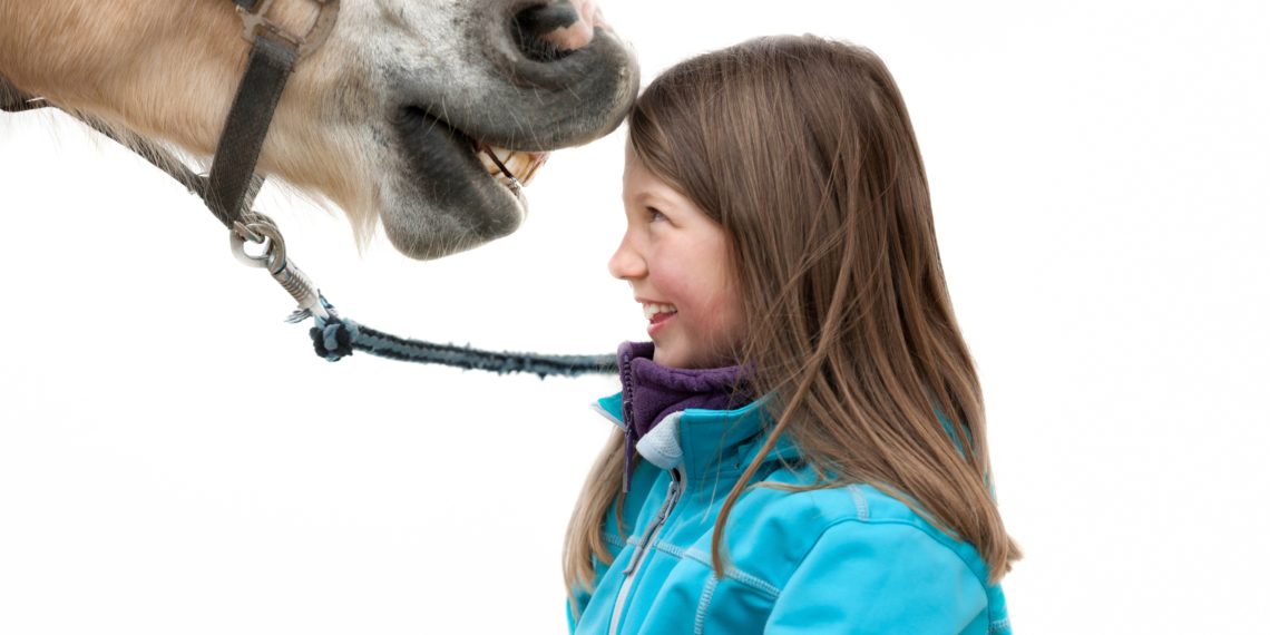 Tiergestützte Therapie – Therapie mit Tieren – Heilpraxis