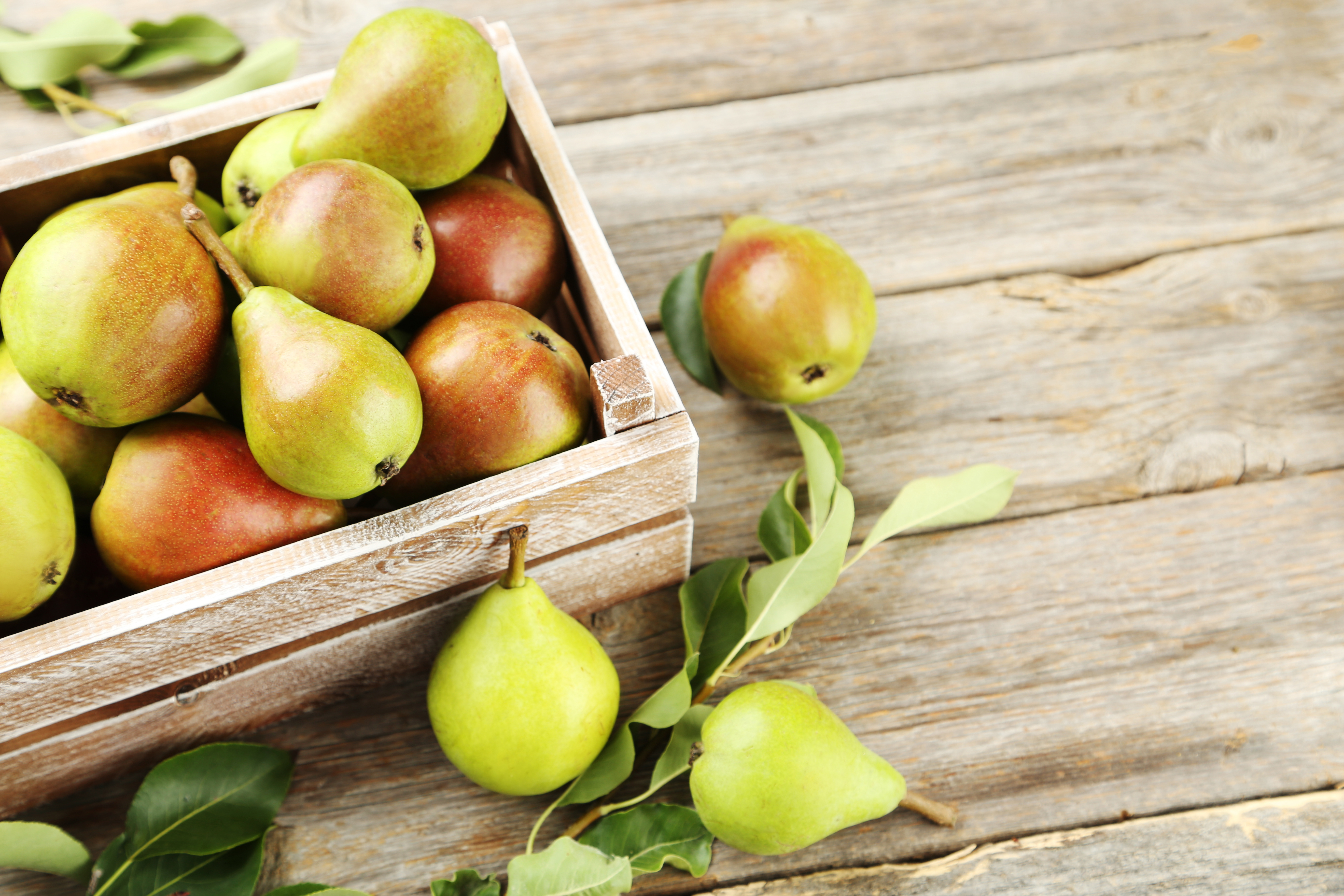 Start der Birnenzeit: Birnen sind mehr als gesund – Naturheilkunde ...