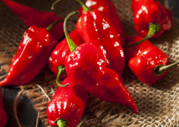 Durch den Verzehr von Bhut Jolokia-Chilis hat ein Mann eine lebensgefährliche Perforation der Speiseröhre erlitten. (Bild: Brent Hofacker/fotolia.com)