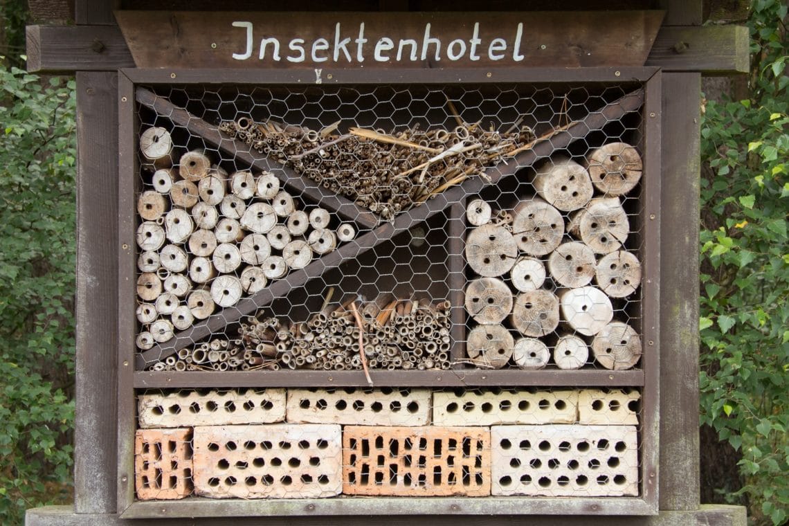 insektenschutz garten