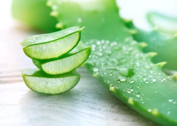 Viele Heilpflanzen finden Sie in kosmetischen Produkten wieder, wie häufig Aloe Vera, welche die Haut kühlt und die Hautbarriere stärkt. (Bild: Subbotina Anna/fotolia.com)