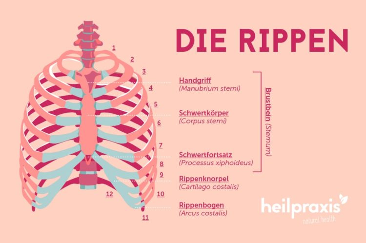 Rippenschmerzen Rechts Oder Links – Heilpraxis