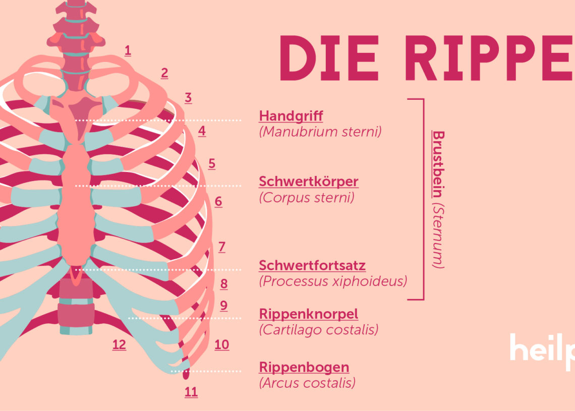 Krankheiten – Heilpraxis