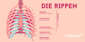 Rippenprellung – Heilpraxis