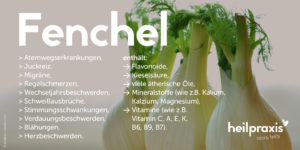 Fenchel – Anwendung Und Wirkung – Heilpraxis