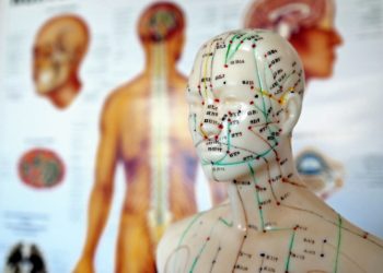 Akupunktur Modell mit aufgezeichneten Meridianen vor einer Wand mit verschiedenen anatomischen Abbildungen.