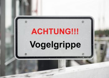 Schild mit der Aufschrift: Achtung!!! Vogelgrippe