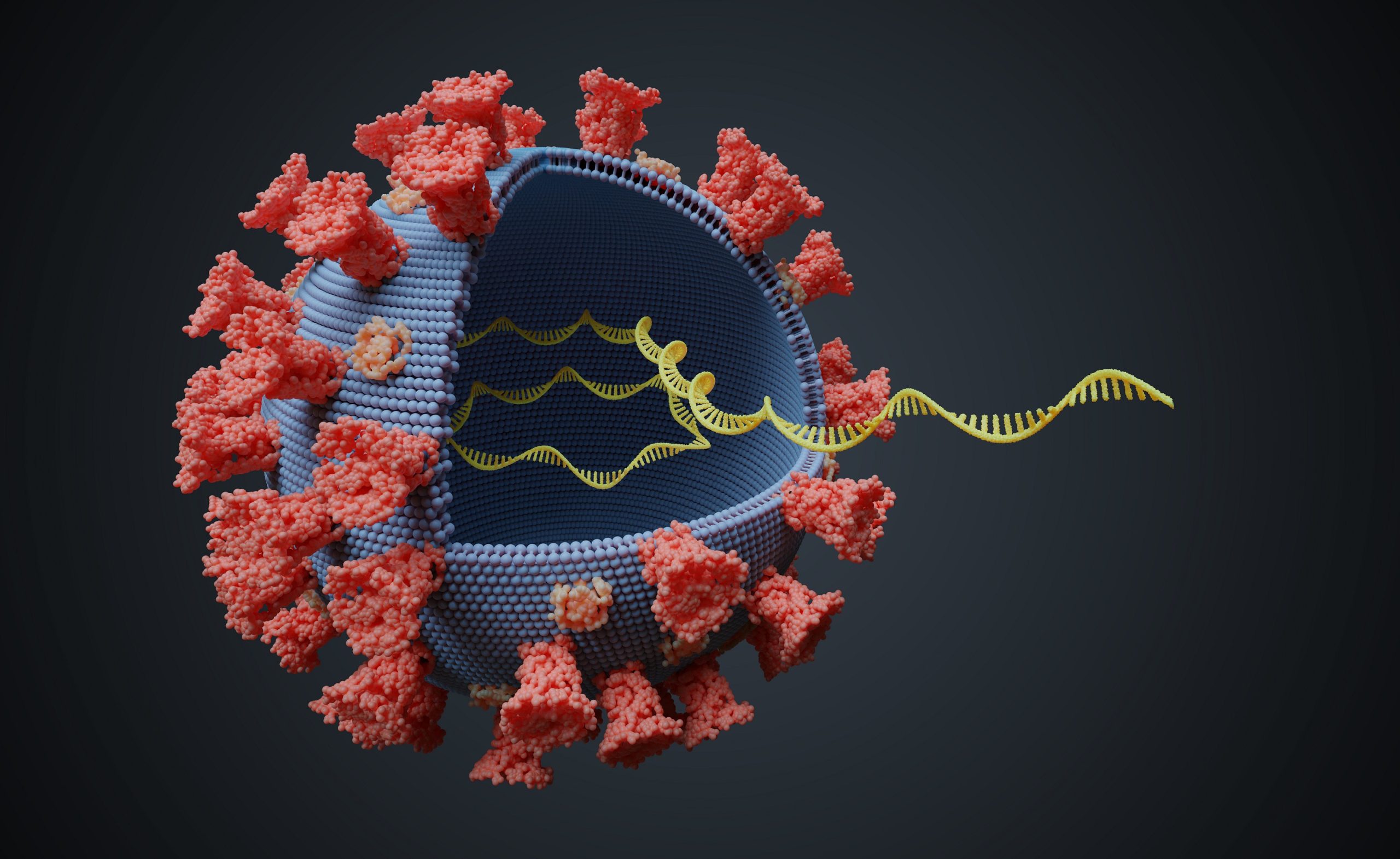 Coronavirus-Verschwörung Widerlegt: SARS-CoV-2 Entstand Nicht Im Labor ...