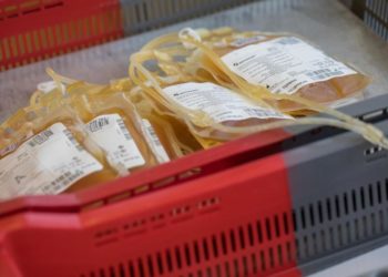 Bei einer Blutplasmaspende werden die Blutbestandteile in einer Maschine geteilt und das Plasma dann separiert - alles andere fließt wieder in den Körper zurück. (Foto: arifoto UG/dpa-Zentralbild/dpa-tmn)