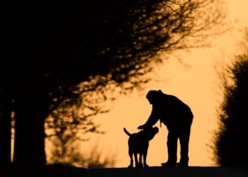 Eine Person geht mit Hund in der Dämmerung spazieren.