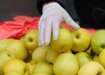 Eine Hand mit einem Einmalhandschuh greift nach einem Apfel.