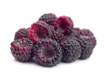 Schwarze Himbeeren scheinen Hautentzündungen zu verringern. (Bild: Leonid Nyshko/Stock.Adobe.com)