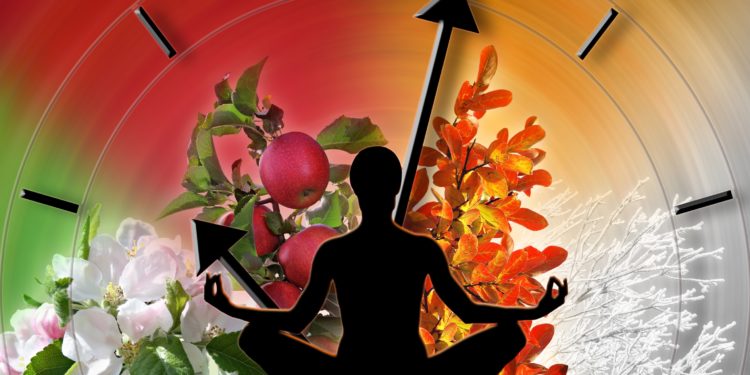 According to the study, our diet influences hormones and the internal clock – healing practice