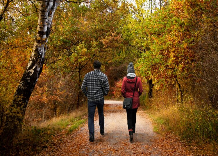 Menschen gehen im Wald spazieren.