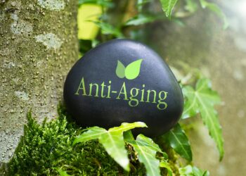 Schwarzer Stein mit der Aufschrift Anti-Aging liegt in der Natur