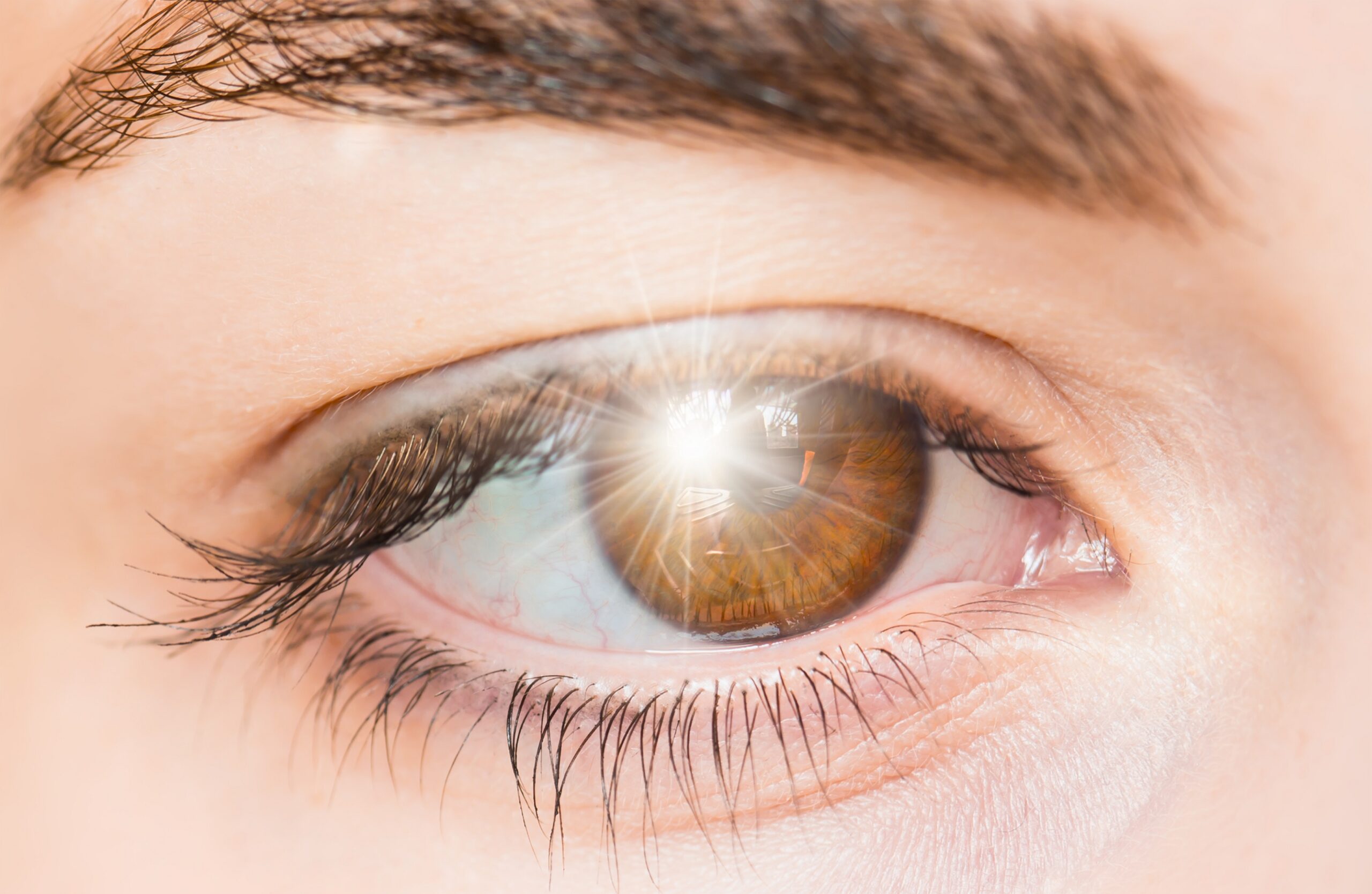 What Light Is Best For Eyes At Larry Whalen Blog