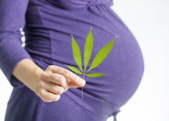 Eine schwangere Frau hält das Blatt einer Cannabispflanze vor ihren Bauch.