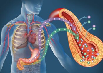 Prädibetes bleibt oft unerkannt. Laut aktueller Studie liegt dies auch an falschen und fehlenden Diagnosemöglichkeiten. Doch das könnte sich nun dank neuster Erkenntnisse ändern. (Bild: ilusmedical/stock.adobe.com)