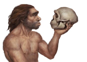 Illustration eines Neandertalers, der den Schädel eines Neandertalers betrachtet