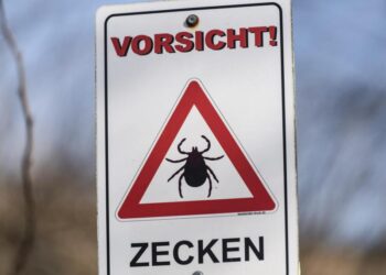 Ein Schild mit der Aufschrift: Vorsicht Zecken.