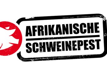 Rot umrandeter Schweinkopf mit dem Schriftzug Afrikanische Schweinepest