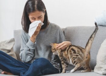 Frau mit Taschentuch vor dem Gesicht sitzt auf dem Sofa und streichelt eine Katze