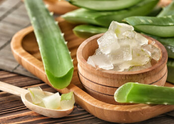 Aufgeschnittene Aloe vera mit Gel