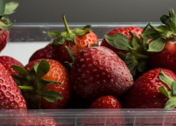 Eine schimmlige Erdbeere liegt zwischen normalen Erdbeeren.