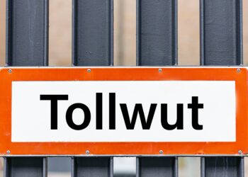 Schild mit der Aufschrift Tollwut