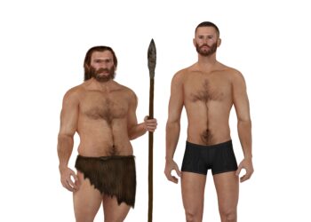 Grafische Darstellung: Optischer Vergleich zwischen einem Neandertaler und einem modernen Menschen.