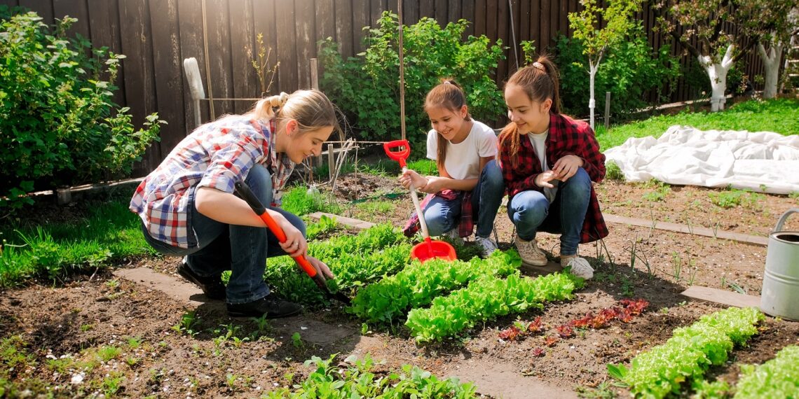 Eine Mutter pflanzt mit ihren zwei Kindern an einem Gemüsebeet.