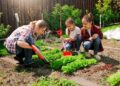 Eine Mutter pflanzt mit ihren zwei Kindern an einem Gemüsebeet.