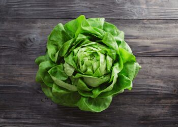 Viele Menschen unterschätzen, wie gesund der Verzehr von Kopfsalat wirklich ist. (Bild: Melica/stock.adobe.com)