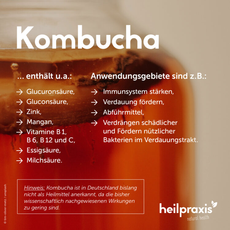 Übersicht der wichtigsten Inhaltsstoffe und Anwendungsgebiete von Kombucha